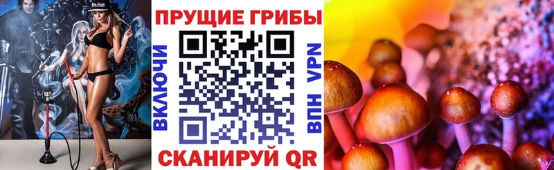 Псилоцибиновые грибы GOLDEN TEACHER  Тетюши 
